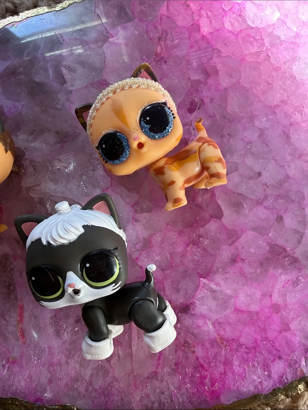 Lol Surprise Pet Series 3 Wave 1 Catnap Club Fresh Feline & SECRET AGENT KITTY